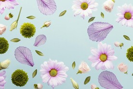 唯美花朵壁纸背景