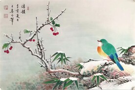 清韵