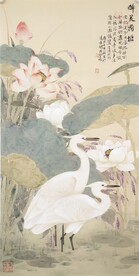 醉美荷塘