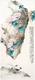 高植白鹳