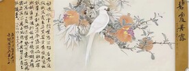 碧霞丹露