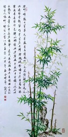 密竹娟娟数十篁