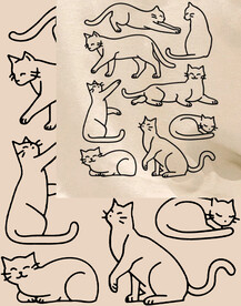 猫
