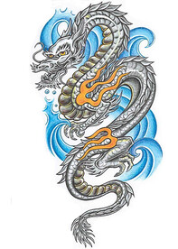 龙