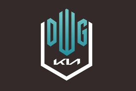 DK战队旗