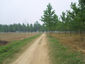 风景