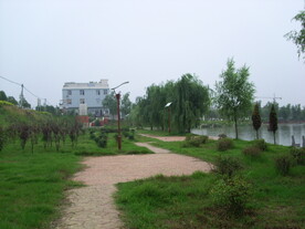 风景
