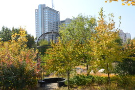 莲花池风景 