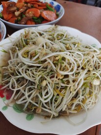 炒豆芽