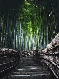 林间小路