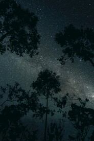 夜空