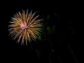 烟花             