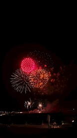 烟花             