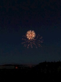 烟花             