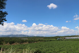 蓝天白云风车