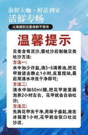 贝壳吐沙