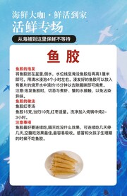 鱼胶