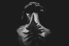 黑暗治愈系列 