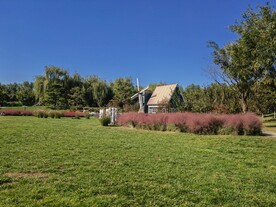 公园风景 