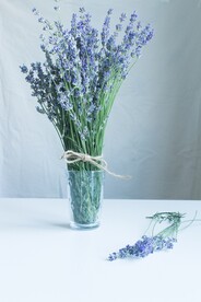 瓶插鲜花