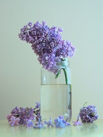 瓶插鲜花