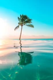 海水