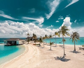 大海