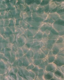 海水