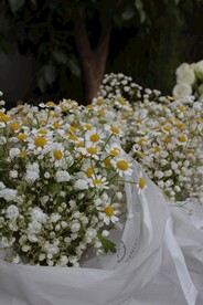 小雏菊花束