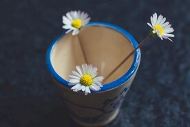 花瓶里的鲜花