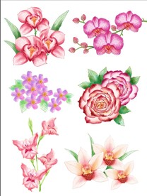 水彩花卉