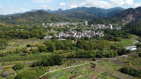 山