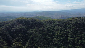 山
