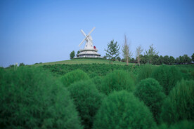 青白江我的田园