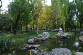 陶然亭风景 