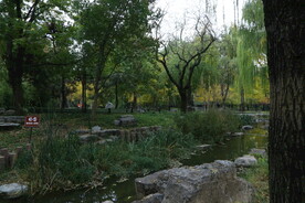 陶然亭风景 