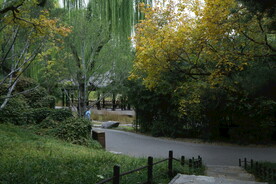 陶然亭风景  