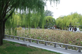 陶然亭风景 