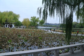 陶然亭风景 