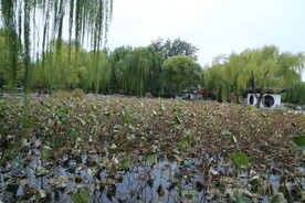 陶然亭风景