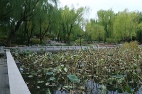 陶然亭风景 