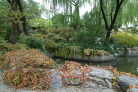 陶然亭风景  