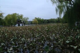 陶然亭风景 