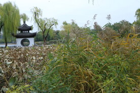 陶然亭风景 
