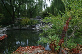 陶然亭风景  