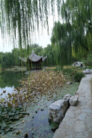 陶然亭风景  