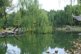 陶然亭风景  