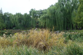 陶然亭风景