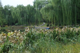 陶然亭风景 