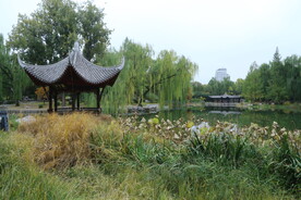 陶然亭风景  